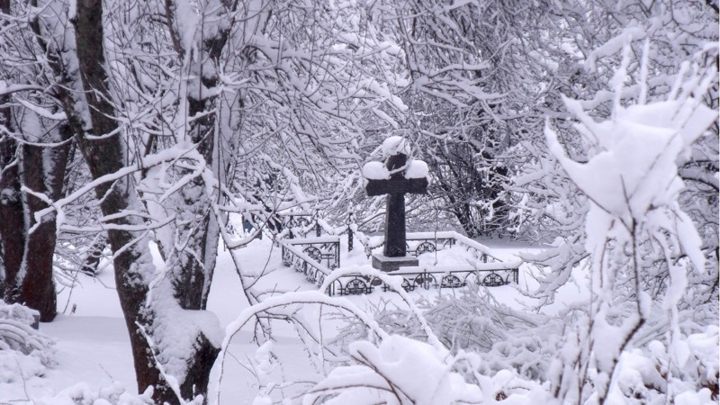 На кладбище в Воронежской области под снегом нашли тело мужчины