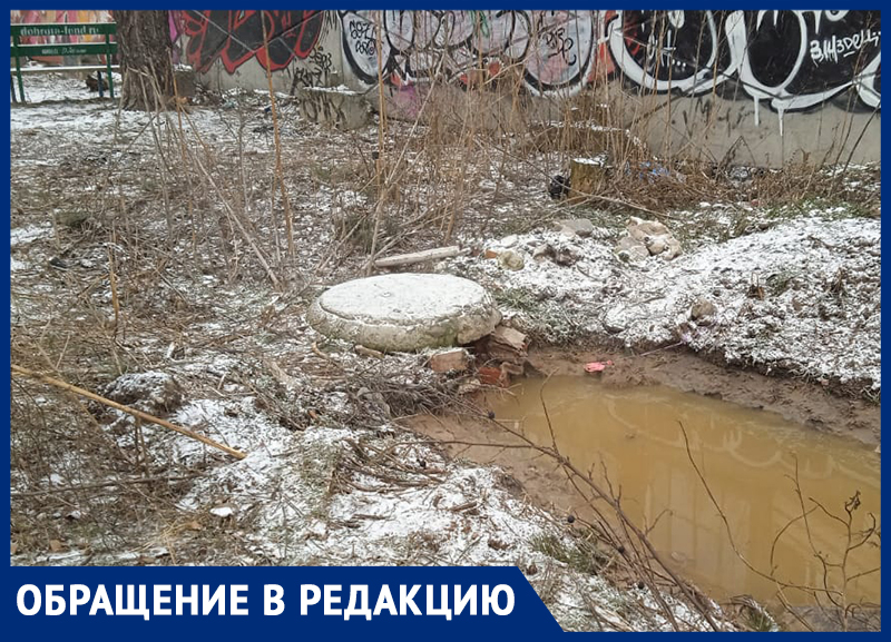 Расследование: откуда течёт фекальная река по 9 Января в Воронеже