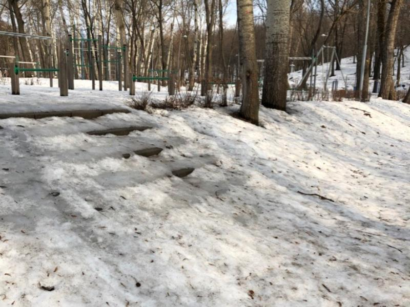 Убийственную дорогу к спорту нашли в парке Воронежа