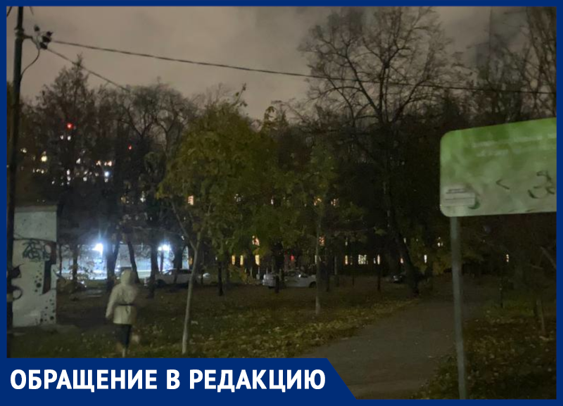 Депутатский сквер погрузился во тьму в Воронеже