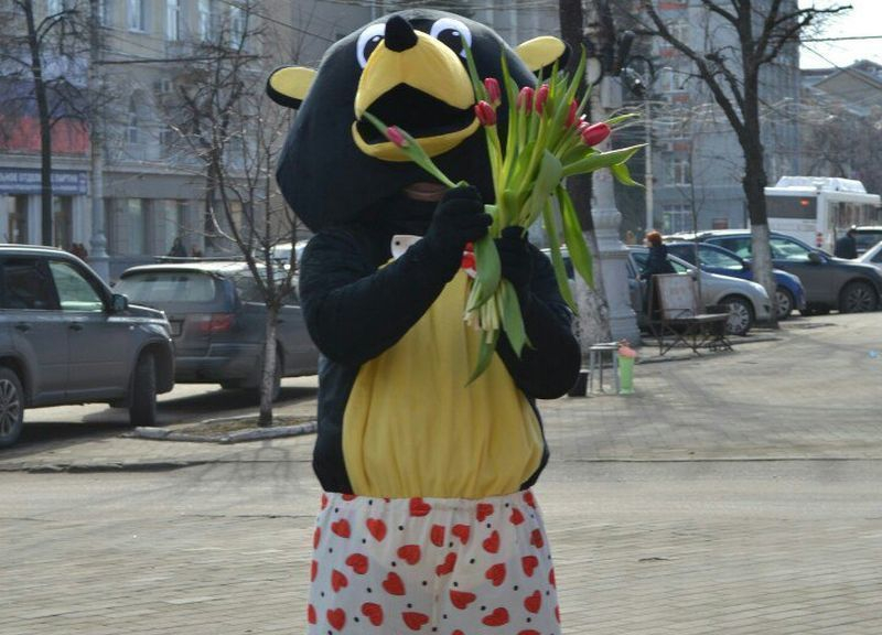 В центре Воронежа женщин с их праздником поздравлял медведь в семейных трусах