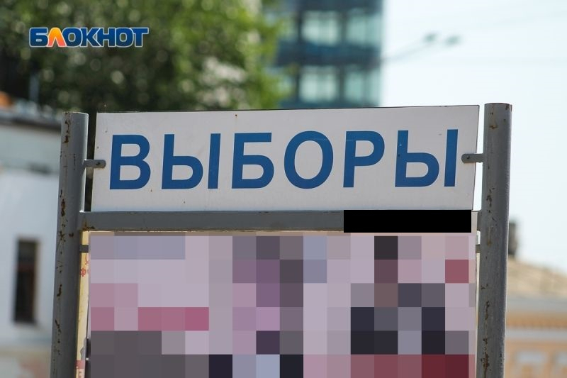 Готовность избирателей к дистанционному голосованию выяснили социологи в Воронежской области