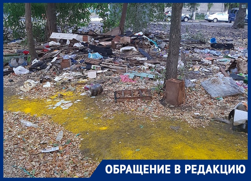 Сквер превратился в помойку с крысами и мертвыми голубями в Воронеже