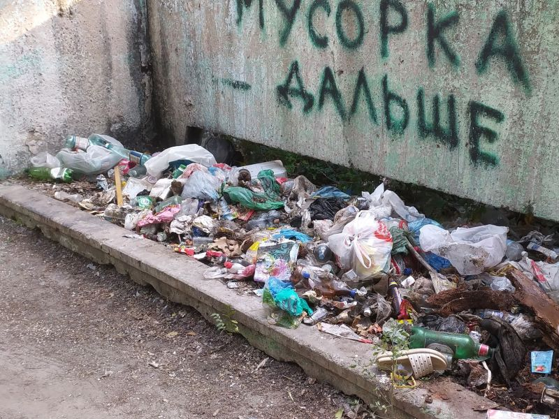 Скоро мусоровоз сядет на пузо: лютая антисанитария царит на Машмете в Воронеже