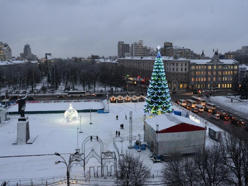 Стало известно, кто установит главную новогоднюю елку Воронежа за 1,79 млн рублей