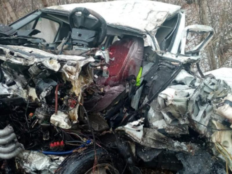 Жуткие последствия ДТП с «Газелью» и фурой показали в Воронежской области