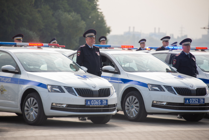 Патрульная Шкода Октавия ДПС