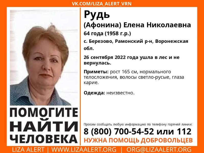 64-летняя женщина ушла в лес и пропала под Воронежем