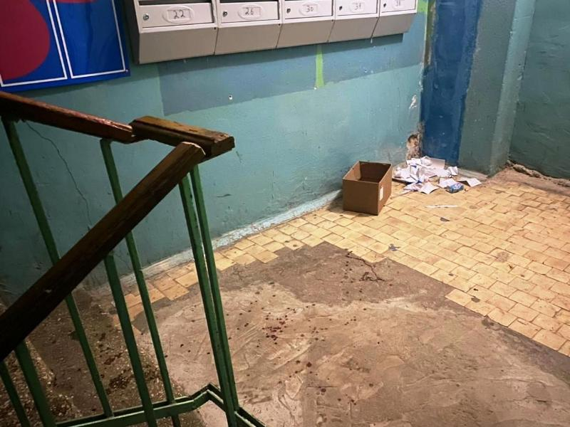 Парня осудят за жестокое убийство приемной матери на глазах у отчима в Воронеже