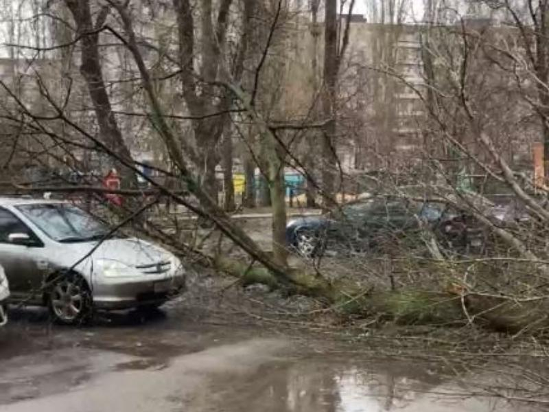 Разрушительные последствия непогоды запечатлели в Воронеже