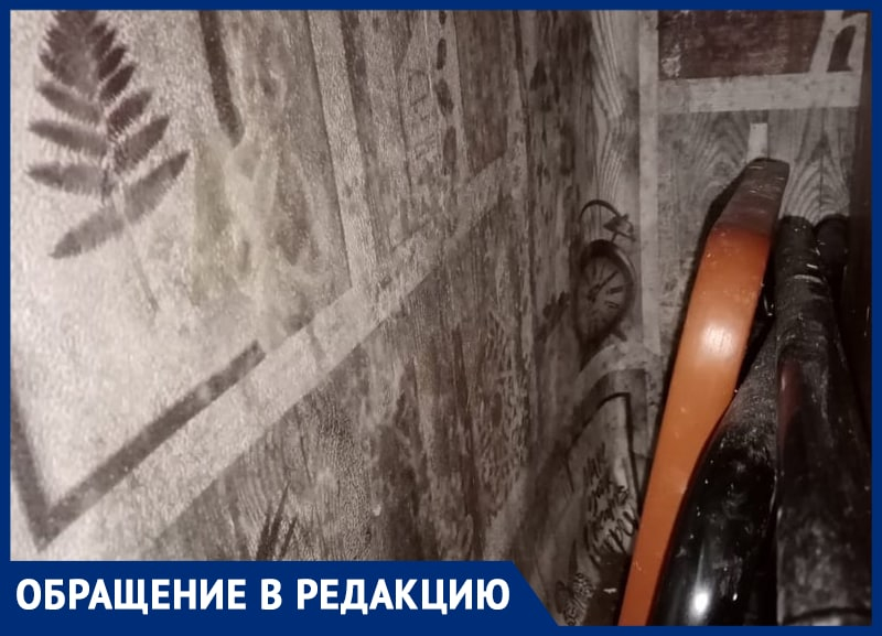«Ребенок кашляет от спор», – УК превратила многоэтажку в дом с плесенью в Воронеже