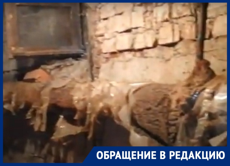 Канализационные воды топят подвалы трех домов в Воронеже