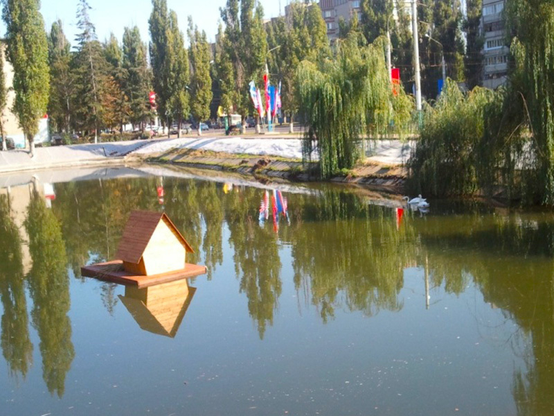 В Воронеже планируют создать парк российско-китайской дружбы