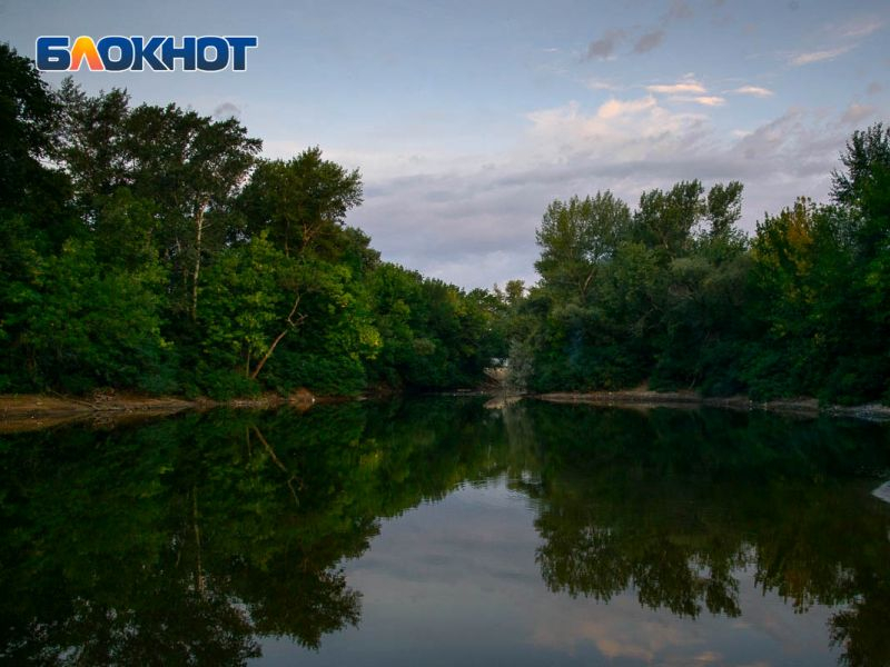 Возможное загрязнение реки Воронеж изучат в Росприроднадзоре