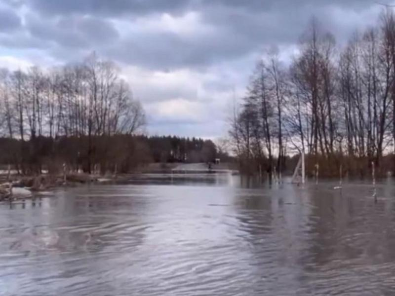 Число затопленных мостов из-за паводков сократилось в Воронежской области