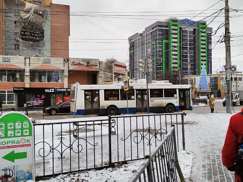 До -13 °С похолодает в Воронежской области в ночь на 1 декабря