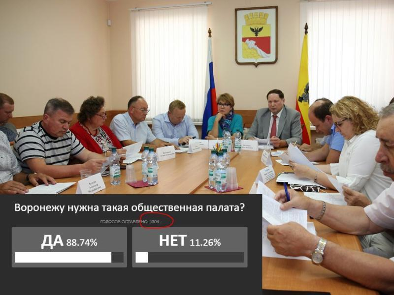 Аномальное голосование прошло в поддержку ОП в Воронеже