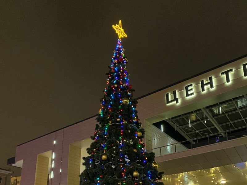 Вторую городскую елку поставили в Воронеже в преддверии Нового года