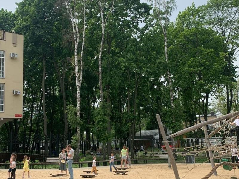 Опасные деревья нашли в воронежском парке
