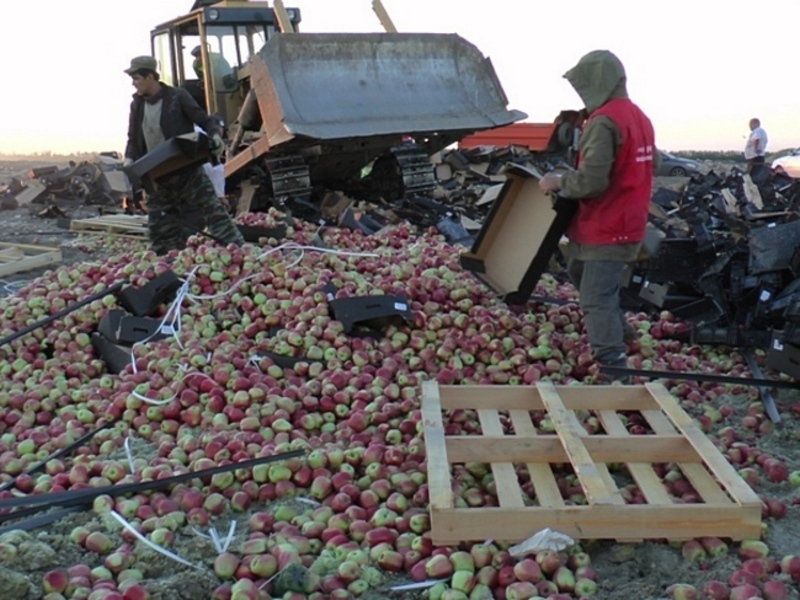 На полигоне под Воронежем раздавили больше 2 тонн испанских яблок