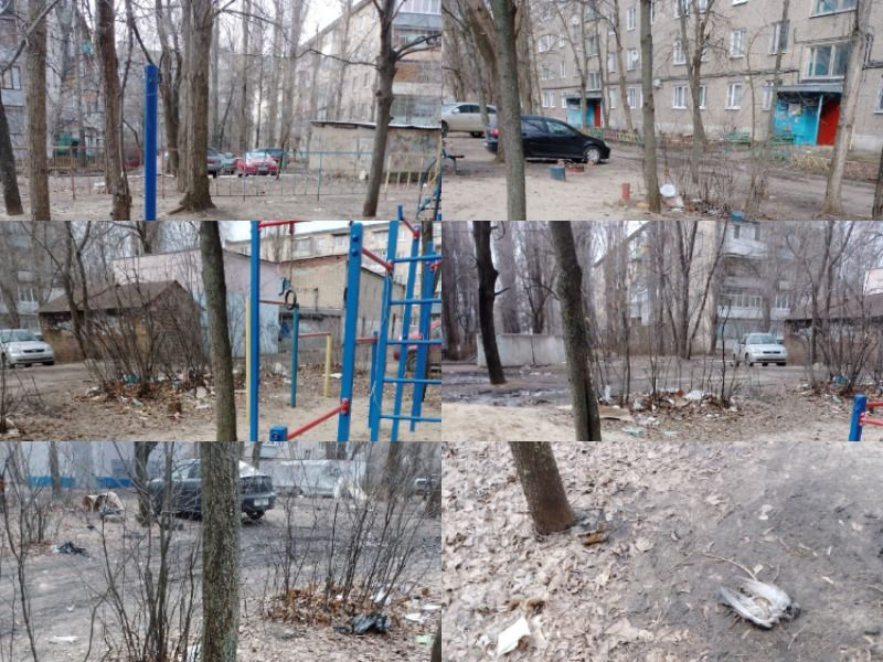 Грязь, мусор и мертвые птицы: двор на юго-западе Воронежа погрузился в депрессию