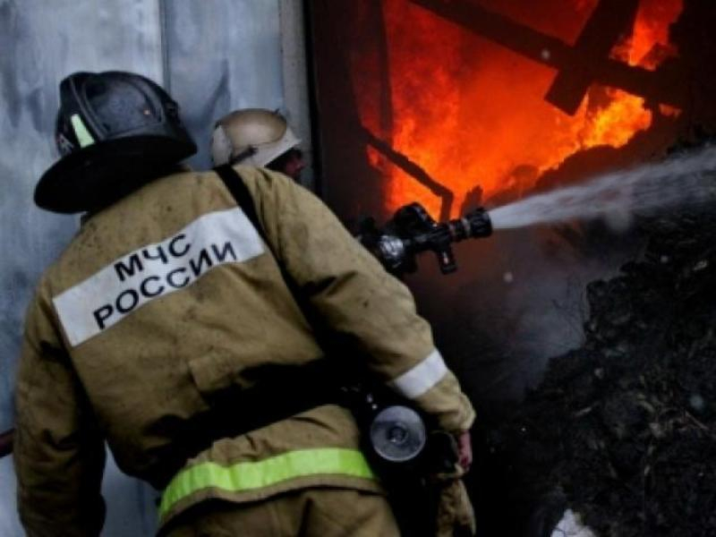 Семья погибла при пожаре в Воронежской области