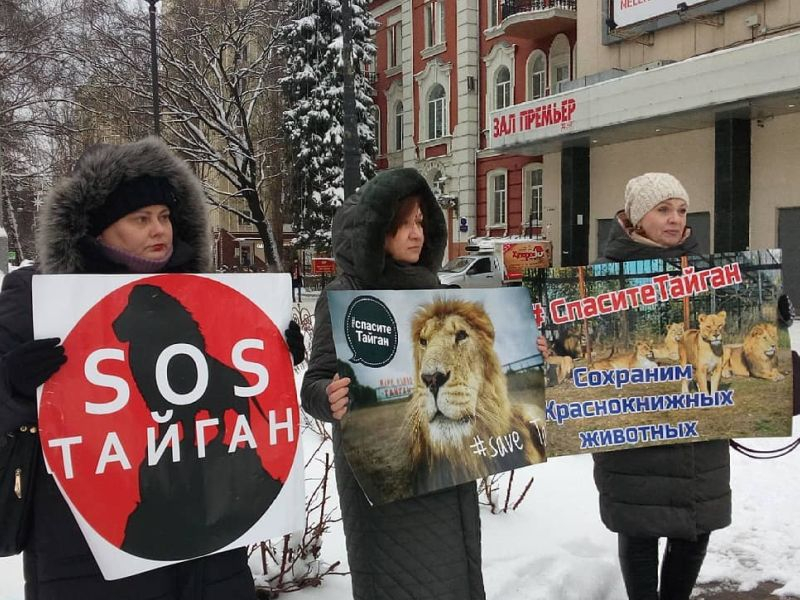 Воронежцы снова провели митинг в защиту животных сафари-парка в Крыму