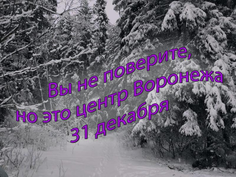 О 30-градусных новогодних морозах в Воронеже заочно поспорили частные и государственные синоптики