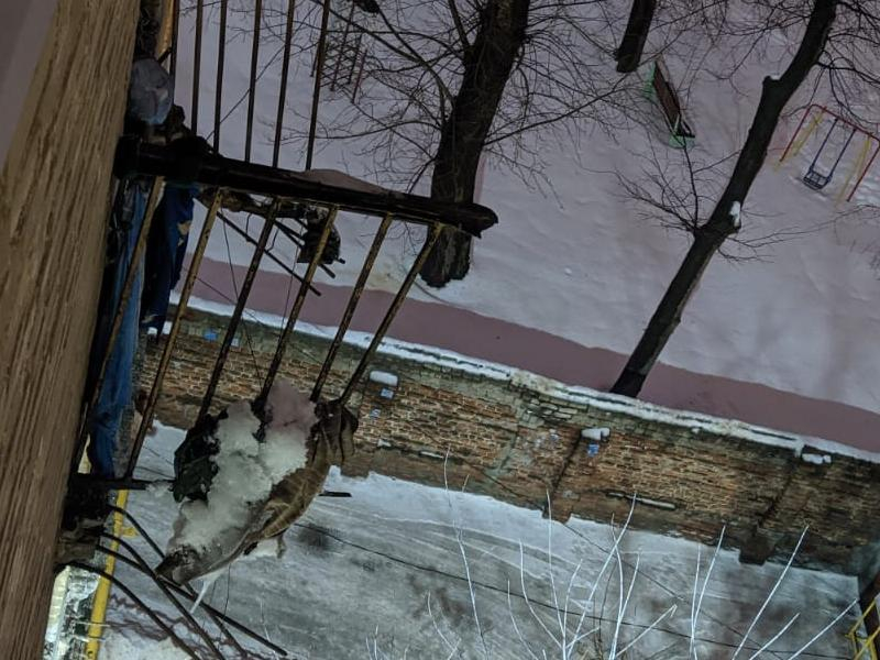 Второй балкон 66-летнего дома рухнул в центре Воронежа