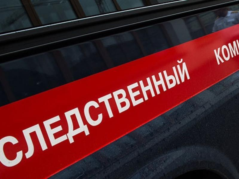 Трагедия с гибелью 7-летней девочки произошла в Воронежской области