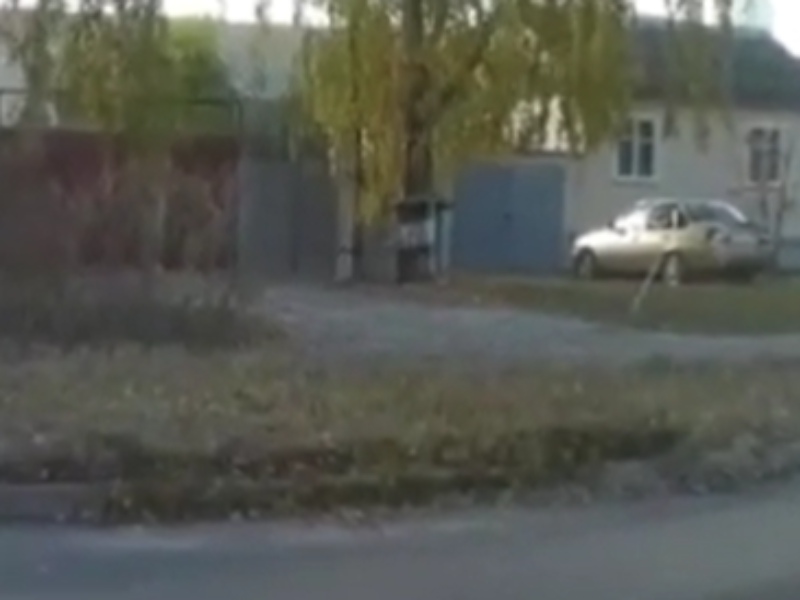 Нецензурные разборки яжематери и таксиста сняли в Воронеже