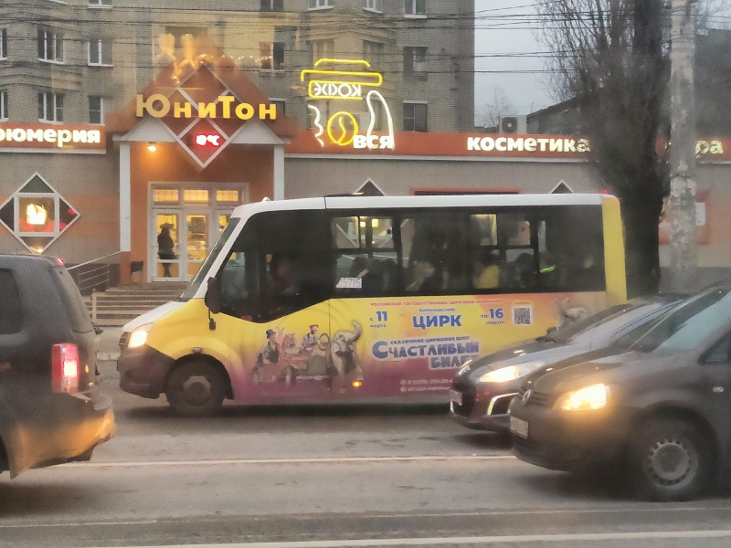 Новый автобусный маршрут свяжет «Цирк» и «Семилукские выселки» в Воронеже