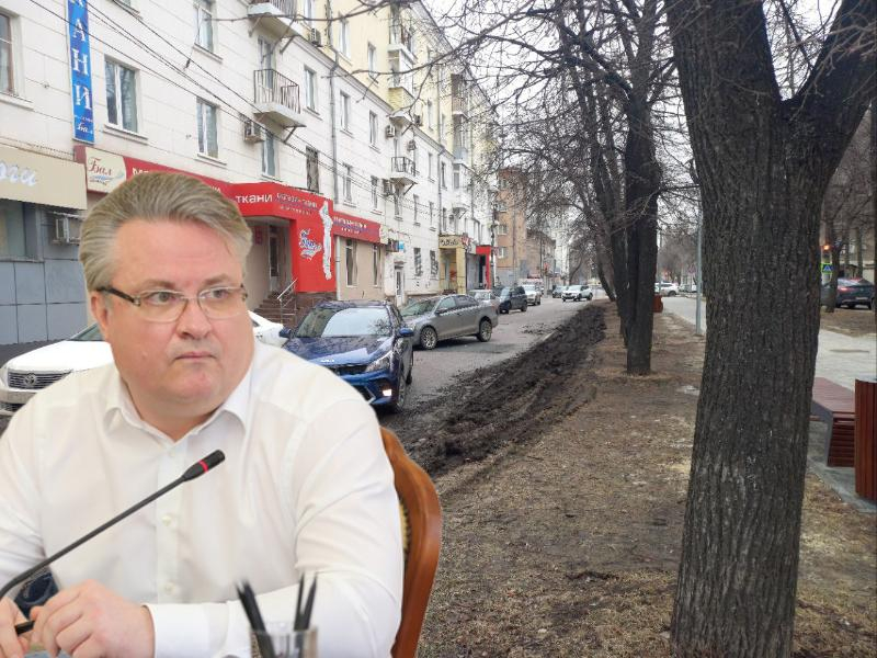 Мэр натравил рейды на газонопарковочных нарушителей в Воронеже