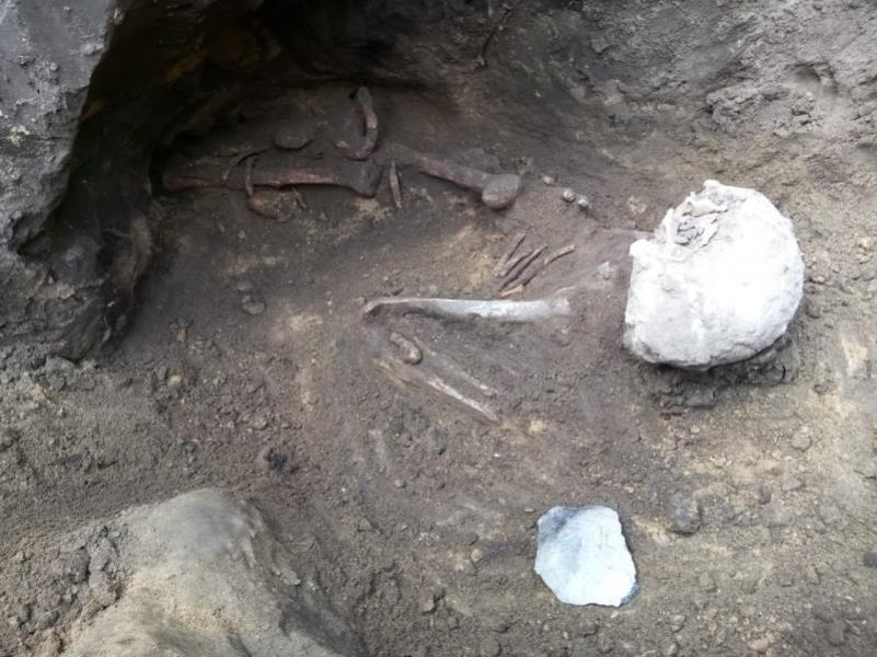 Останки человека нашли спустя 3 тыс лет в Воронежской области