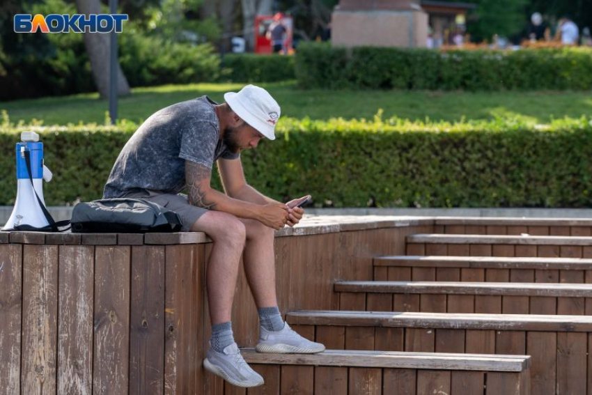 Социологи назвали самый популярный мессенджер среди воронежцев