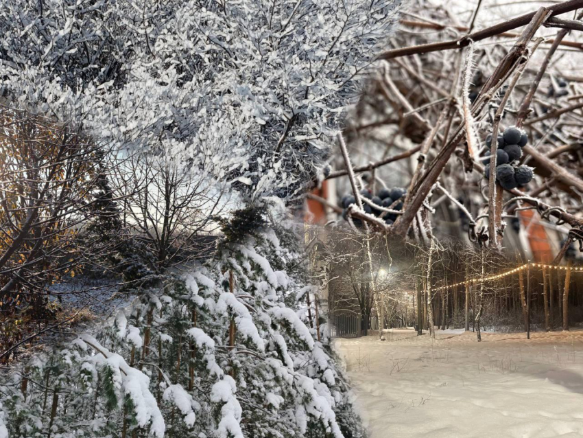 Зимняя сказка глазами воронежцев 