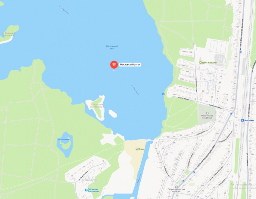 С зеленой жижей на водохранилище разобралось минприроды региона