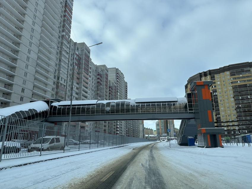 Наличие наземных переходов на Крынина объяснили воронежские чиновники 