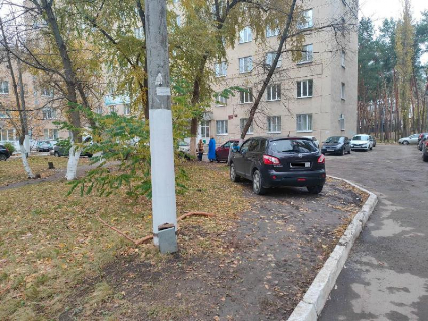 Царская парковка в грязи у воронежской поликлиники попала на фото 