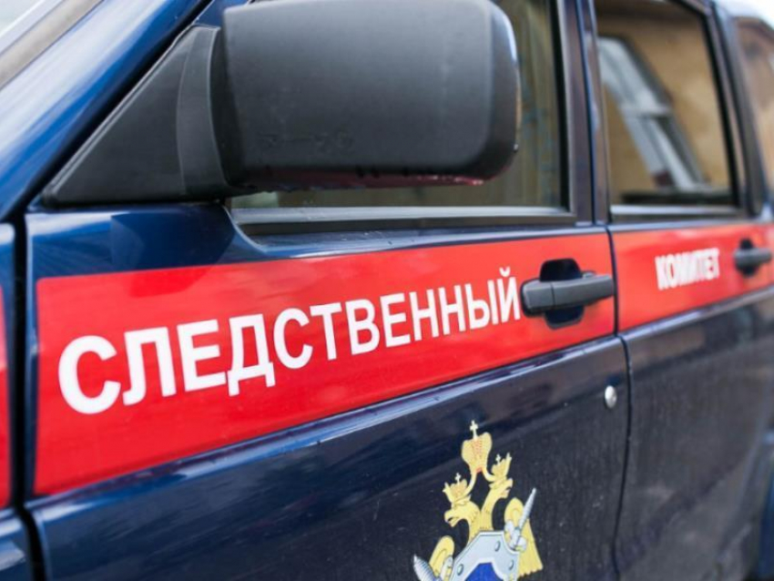 Трехлетняя девочка утонула в частном пруду в Воронеже 
