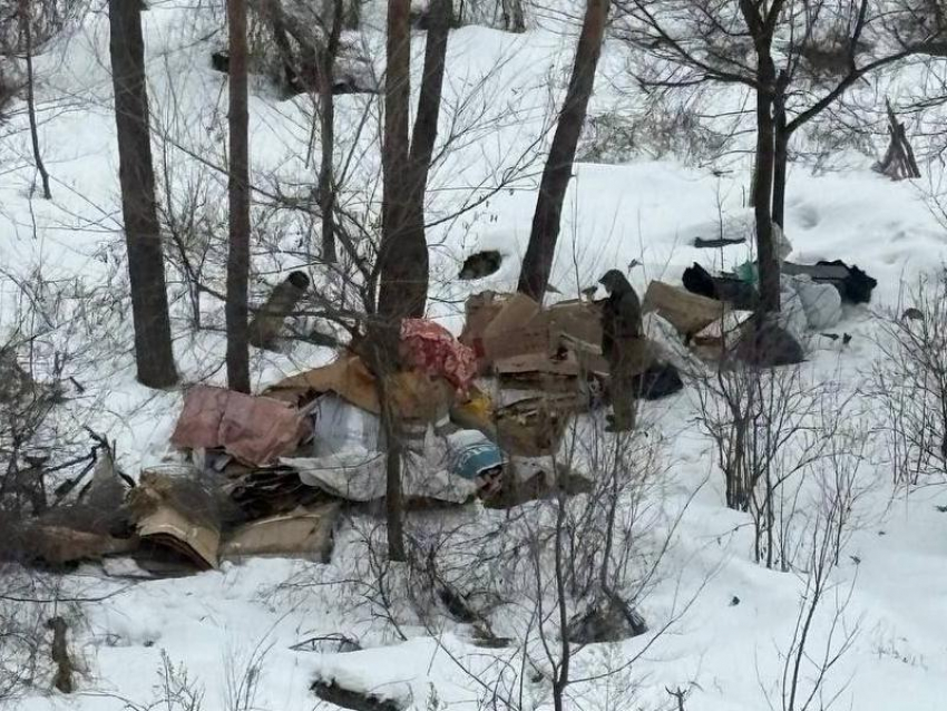 «Каждый день свозит в лес»: воронежцы рассказали о странном «коллекционере»