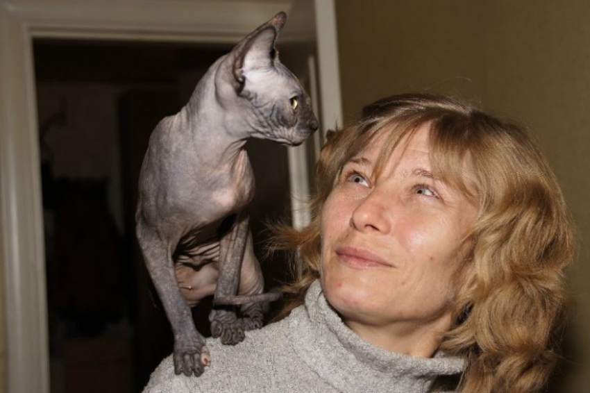 Тридцать шестой участник конкурса Я и мой любимец Светлана Романюк и ее сфинкс Билла (ФОТО-ИСТОРИЯ)