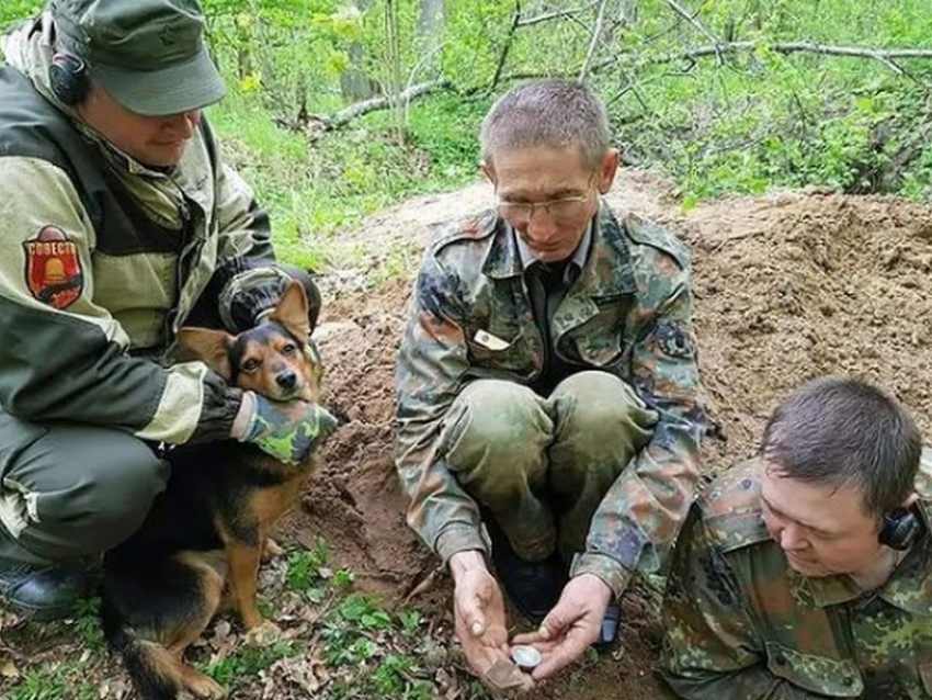 Останки воронежского фронтовика с медалью «За отвагу» нашли в Калининградской области