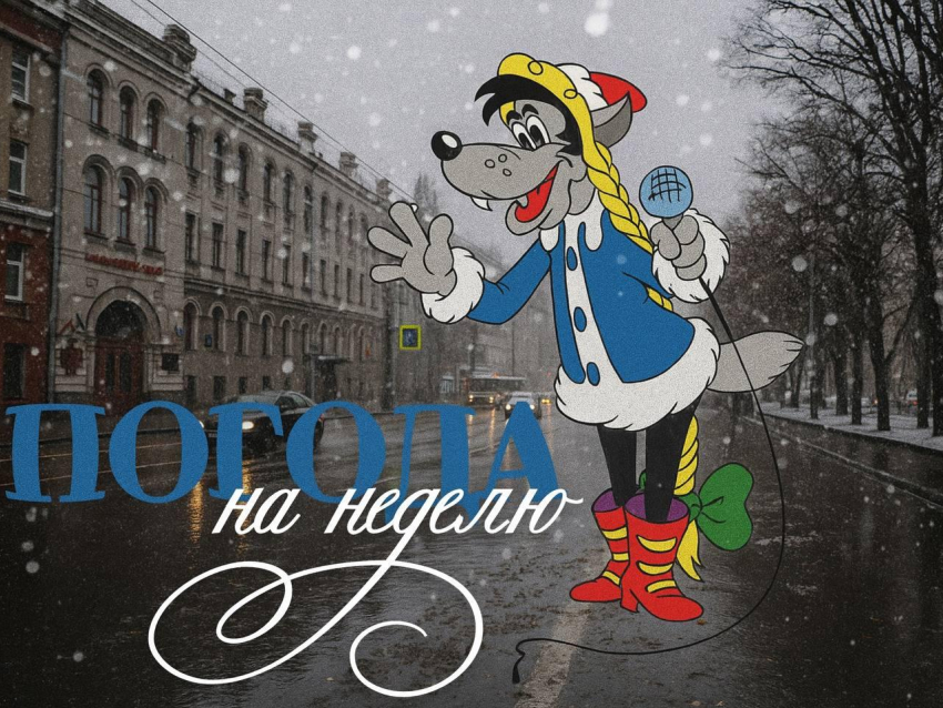 Дождь, снег, гололед: как пережить семь дней воронежской погоды