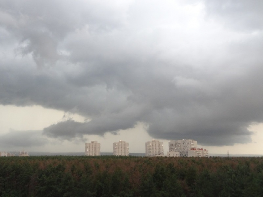 Огромного дождевого дракона сняли в небе над Воронежем
