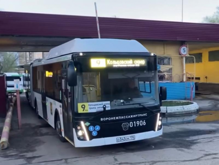 Новенькие автобусы-«гармошки» выпустили на линию в Воронеже