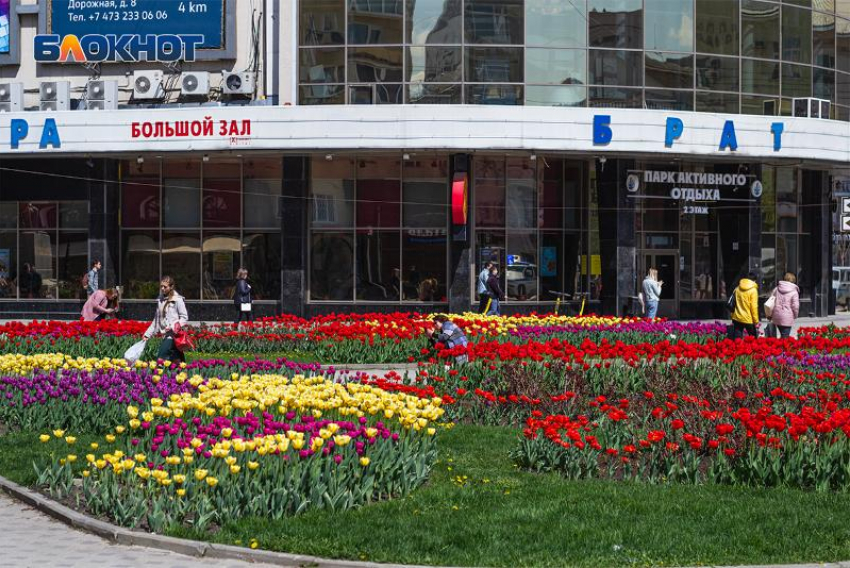 Массовые посадки начнутся с 1 мая в Воронеже 