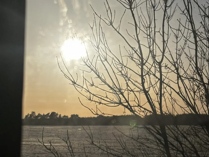 Пальто или пуховик: воронежцы гадают, а погода уже все решила