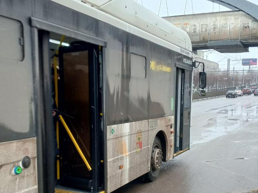 Воронежцы превратились в «жирафов» из-за грязных автобусов