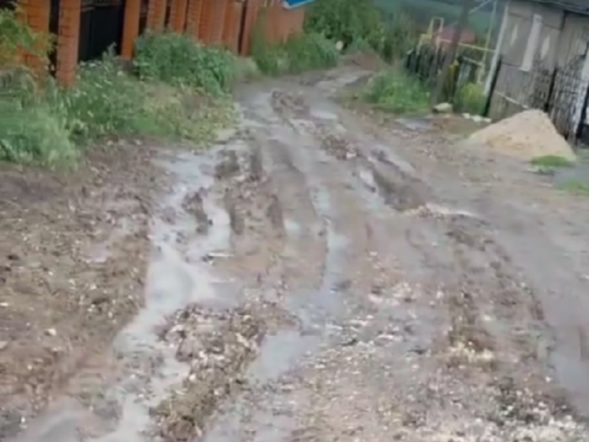 Бастрыкин взял на контроль уголовное дело о позорной дороге под Воронежем